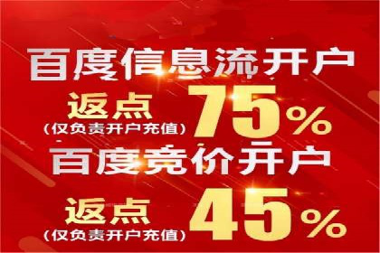 百度SEO推广公司案例汇编：实战优化策略全解析